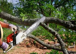 Best Aeration Services  in New Lebanon, OH